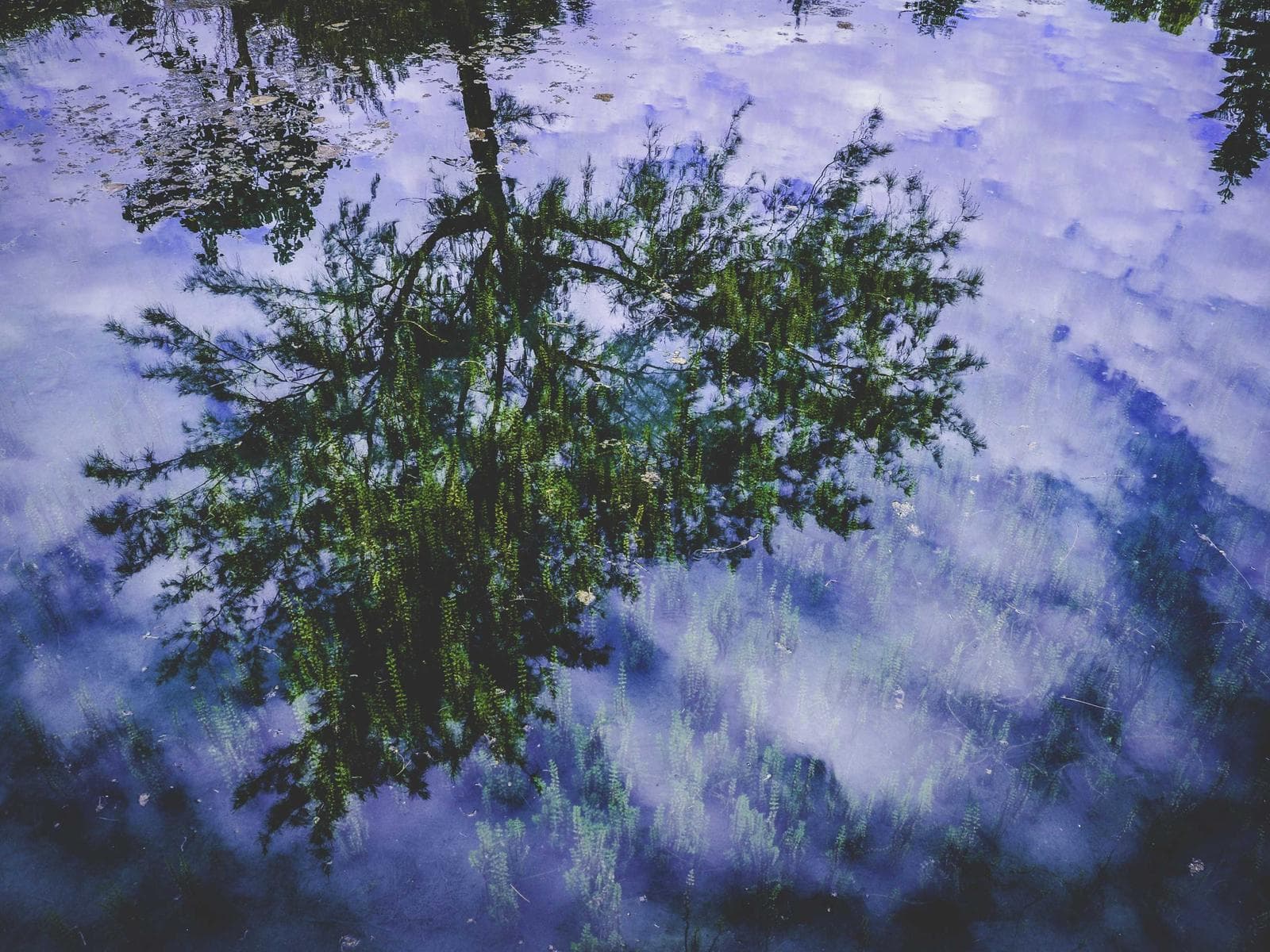 Seasons